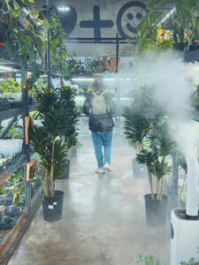 Plant Shop (2024)