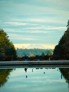 Mount Rainier from University of Washington (2024)